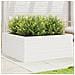 Fioriera Da Giardino Bianca 110x110x46cm Legno Massello Di Pino - Foto miniatura 1