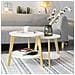 Set Di 2 Tavolini Bassi Da Salotto In Legno Massiccio Di Hevea E Mdf Con 4 Ripiani Bianco Fbt75-w - Foto miniatura 1