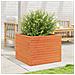 Fioriera Giardino Marrone Cera 60x60x46 cm Legno Massello Pino - Foto miniatura 3