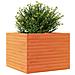 Fioriera Giardino Marrone Cera 60x60x46 cm Legno Massello Pino - Foto miniatura 5