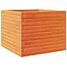 Fioriera Giardino Marrone Cera 60x60x46 cm Legno Massello Pino - Foto miniatura 1