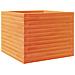 Fioriera Giardino Marrone Cera 60x60x46 cm Legno Massello Pino - Foto miniatura 10