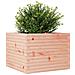 Fioriera da Giardino 60x60x46 cm in Legno Massello Di Douglas - Foto miniatura 6
