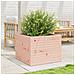 Fioriera da Giardino 60x60x46 cm in Legno Massello Di Douglas - Foto miniatura 8
