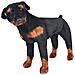 Cane Rottweiler in Peluche in Piedi Nero e Marrone XXL - Foto miniatura 1