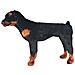Cane Rottweiler in Peluche in Piedi Nero e Marrone XXL - Foto miniatura 2