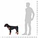 Cane Rottweiler in Peluche in Piedi Nero e Marrone XXL - Foto miniatura 3