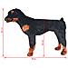Cane Rottweiler in Peluche in Piedi Nero e Marrone XXL - Foto miniatura 5