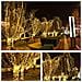 Catena Luminosa 30m 300 Led Bianco Caldo Con 8 Modalità - Spina Eu - Foto miniatura 3