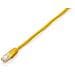 2m Cat6, 2m, Cat6, U / UTP (UTP)  - Foto miniatura 2