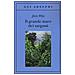 Jean Rhys - Il grande mare dei sargassi - Foto miniatura 1