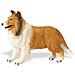 Safari Ltd Best In Show Collie - Foto miniatura 1