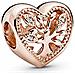 Fascino Donna Argento Dorato Zirconia cubica Variamente - 788826c01 - Foto miniatura 1
