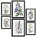 Set Di 6 Stampe Gigli Stampe Naturalistiche E Botaniche A Colori Con Motivi Floreali Su Sfondi Bianchi Puri Design D'interni A3 & A4 Cornice Nera - Foto miniatura 1