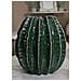 Vaso Cactus Ball In Ceramica Verde A Forma Di Cactus Globoso - Foto miniatura 6