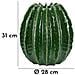 Vaso Cactus Ball In Ceramica Verde A Forma Di Cactus Globoso - Foto miniatura 7