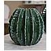 Vaso Cactus Ball Piccolo In Ceramica Verde - Foto miniatura 5