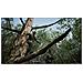 Metal Gear Solid ?: Snake Eater - Deluxe Edition - Foto miniatura 10