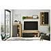 Parete Attrezzata Atex, Set Da Soggiorno Moderno, Mobile Salotto Multiuso, 260x41h102 Cm, Rovere Nodi E Antracite - Foto miniatura 10