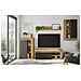 Parete Attrezzata Atex, Set Da Soggiorno Moderno, Mobile Salotto Multiuso, 260x41h102 Cm, Rovere Nodi E Antracite - Foto miniatura 1