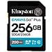 Technology Canvas Go! Plus 256GB SDXC Canvas Go Plus Gen4 200MB /s C10 UHS-I U3 V30 - Foto miniatura 1