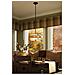 Quoizel Qz / laguna / p-lampadario Da Soffitto, In Rame, 55,9 X 55,9 X 20,5 Cm - Foto miniatura 5
