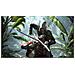 XONE - Assassin's Creed 4 Black Flag - Foto miniatura 3