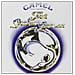 Camel - Snow Goose - Foto miniatura 1
