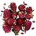 Fiori Secchi - Trifoglio Rosso - 15 Gr - Foto miniatura 1