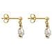 Gioielli Rosefield Jtspg-j427. Orecchini, Colore Oro. Donna. - In ordine - Foto miniatura 2