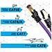 Cavo Di Rete Ethernet Supporta Fino A 2 Ghz / 2000 Mhz | Connettori Rj45 | Trasmissione Dati 40 Gigabit 1.5 M Viola - Foto miniatura 4
