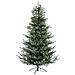 Albero Denali H240-5755 Rami - Foto miniatura 1