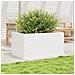 Fioriera da Giardino Bianca 90x60x46 cm Legno Massello di Pino - Foto miniatura 5