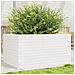 Fioriera da Giardino Bianca 90x60x46 cm Legno Massello di Pino - Foto miniatura 6