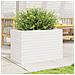 Fioriera Da Giardino Bianca 70x40x46 Cm Legno Massello Di Pino - Foto miniatura 3