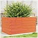 Fioriera Giardino Marrone Cera 90x60x46 cm Legno Massello Pino - Foto miniatura 9