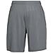 Tech Mesh Short 1328705-012, Uomo, Grigio, Pantaloncini, Numero: S - Foto miniatura 2
