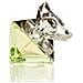 , Believe, Eau De Parfum, For Women, 30 Ml - Foto miniatura 3