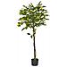 Pianta Artificiale In Vaso 156 Cm Lemon Tree - Foto miniatura 3