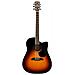 Chitarra Acustica Rd26ce Sunburst 6 Corde - Foto miniatura 1