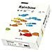 Rainbow A4 500er, A4 (210×297 mm) , Universale, Opaco, Bianco, ECF - Foto miniatura 1