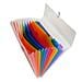 classificatore a 13 tasche 33x25cm in ppl crystal - Foto miniatura 1