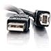 Cavo USB - USB (M) a USB Type B (M) - USB 2.0 - 2 m - nero - Foto miniatura 3
