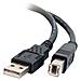 Cavo USB - USB (M) a USB Type B (M) - USB 2.0 - 2 m - nero - Foto miniatura 1