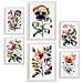 Set Di 6 Stampe Dark Flowers Stampe Naturalistiche E Botaniche A Colori Con Motivi Floreali Su Sfondi Bianchi Puri A3 & A4 Cornice Bianca - Foto miniatura 1