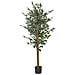 Pianta Artificiale In Vaso 167 Cm Ficus Tree - Foto miniatura 4