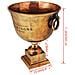 Trofeo Coppa Champagne Cooler Rame Marrone - Foto miniatura 6