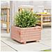 Fioriera Da Giardino 40x40x26,5 Cm In Legno Massello Di Douglas - Foto miniatura 3