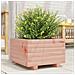 Fioriera Da Giardino 40x40x26,5 Cm In Legno Massello Di Douglas - Foto miniatura 1