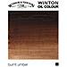 554 Winton Oil Colour 37m Terra Ombra Naturale - Foto miniatura 1